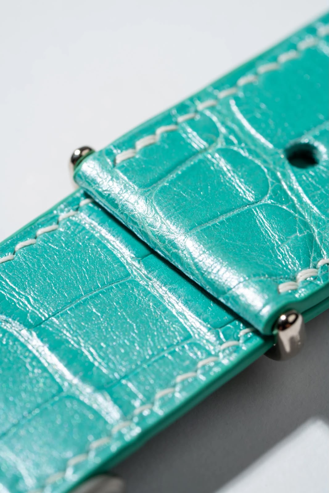 Tiffany Crocodile