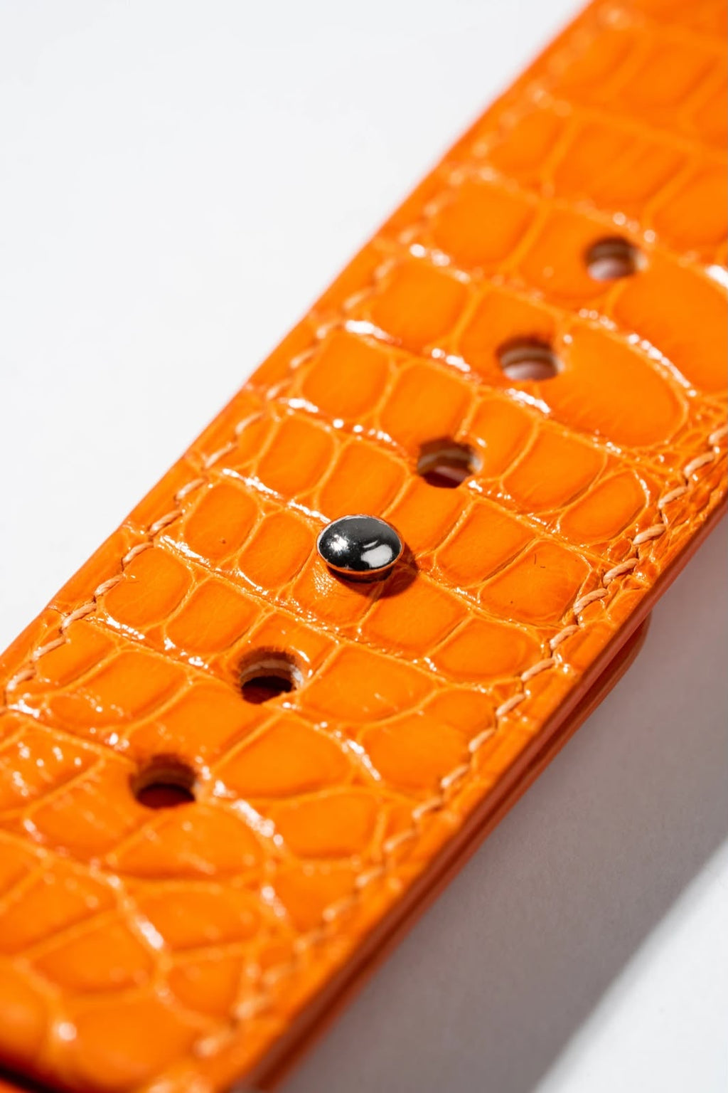Orange Crocodile