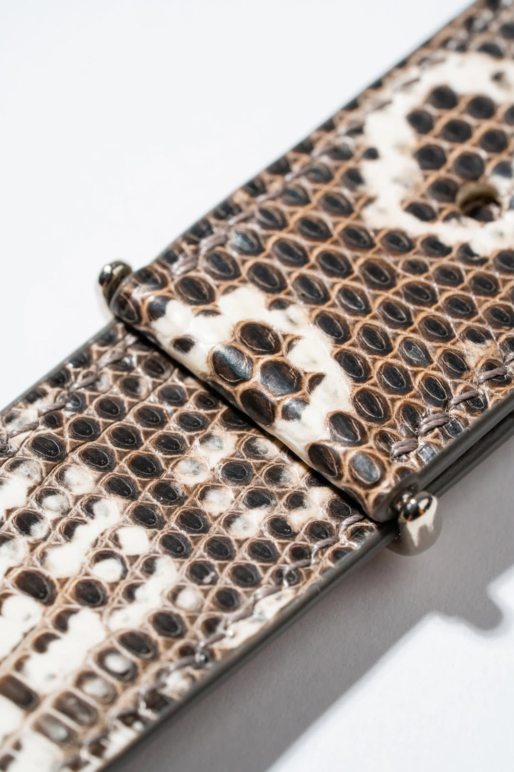 Lizard Skin
